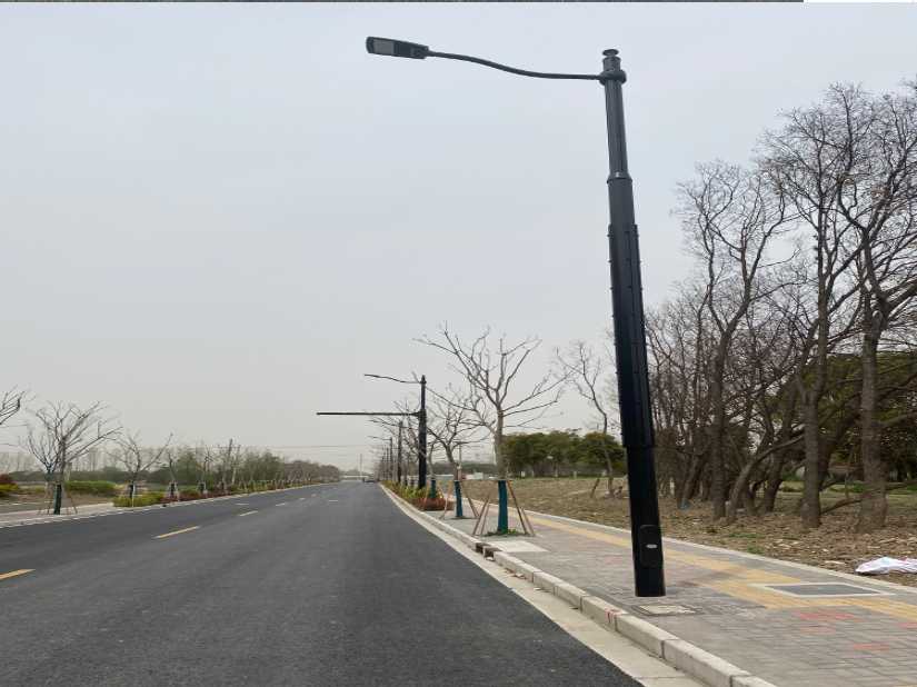 瑞丽市上海综合杆 太阳能路灯工程